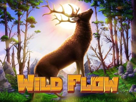3BET Wild Flow